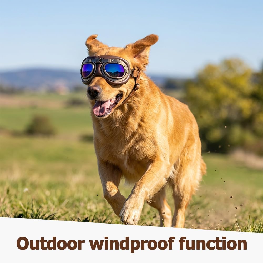 Retro Dog Aviator Sunglasses, Pet Goggles for Medium Large Dogs