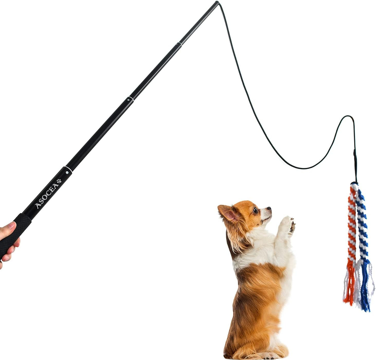 ASOCEA Dog Extendable Teaser Wand Pet Flirt Stick Pole Puppy Chasing Tail Interactive Toy for Small Medium Large Dogs Tr