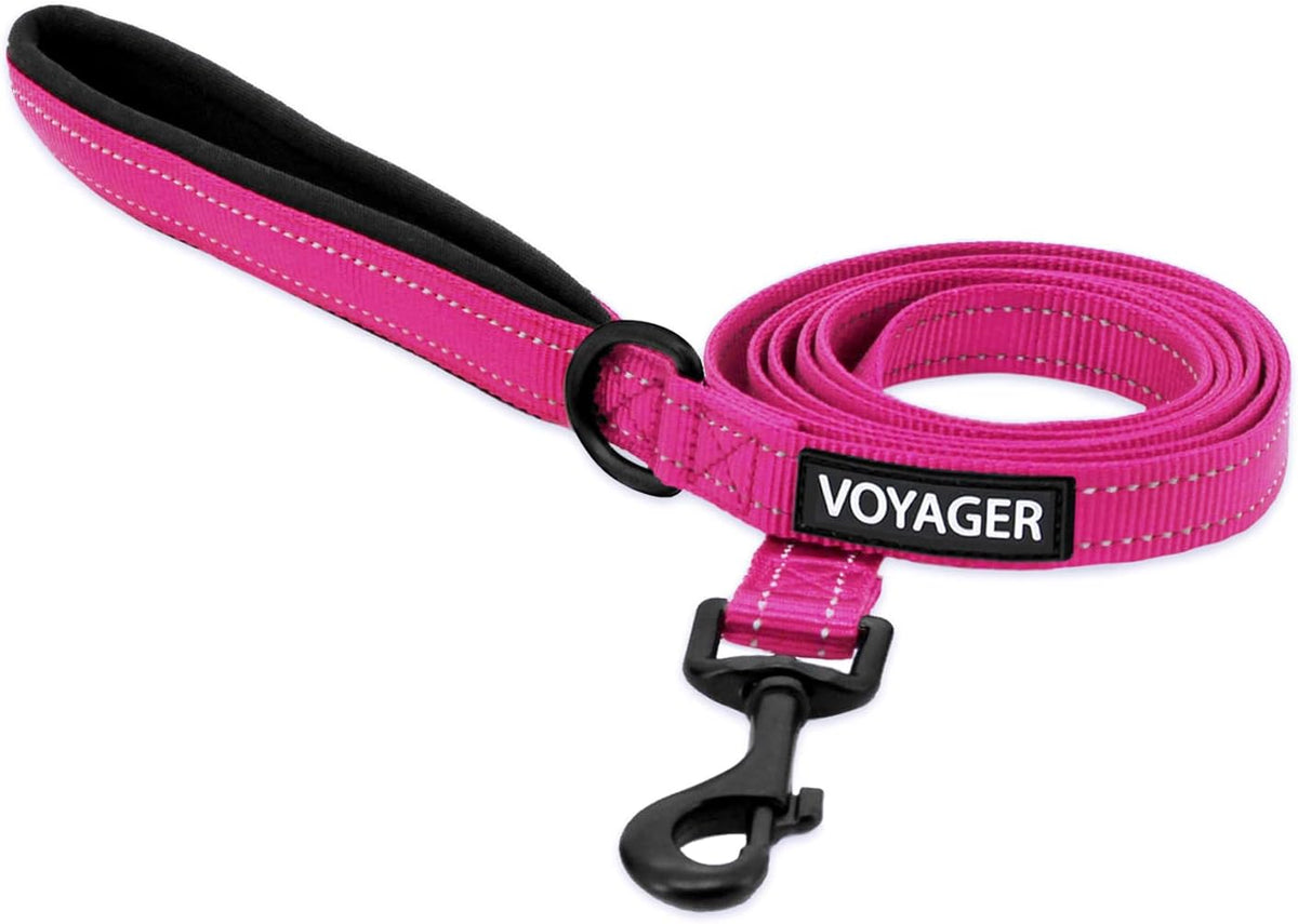 Best Pet Supplies Voyager Dog Collar Safety Clip with Dual Clasps, Collars and No Pull Harness Connectors, Training for 