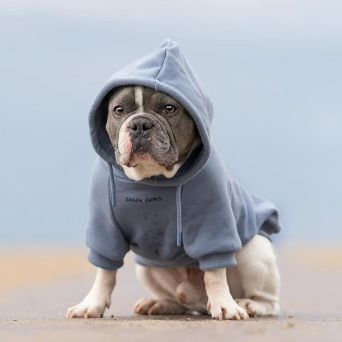 Spark Paws Dog Hoodie - Dog Sweater Sweatshirt Clothes for Large Dogs Puppy