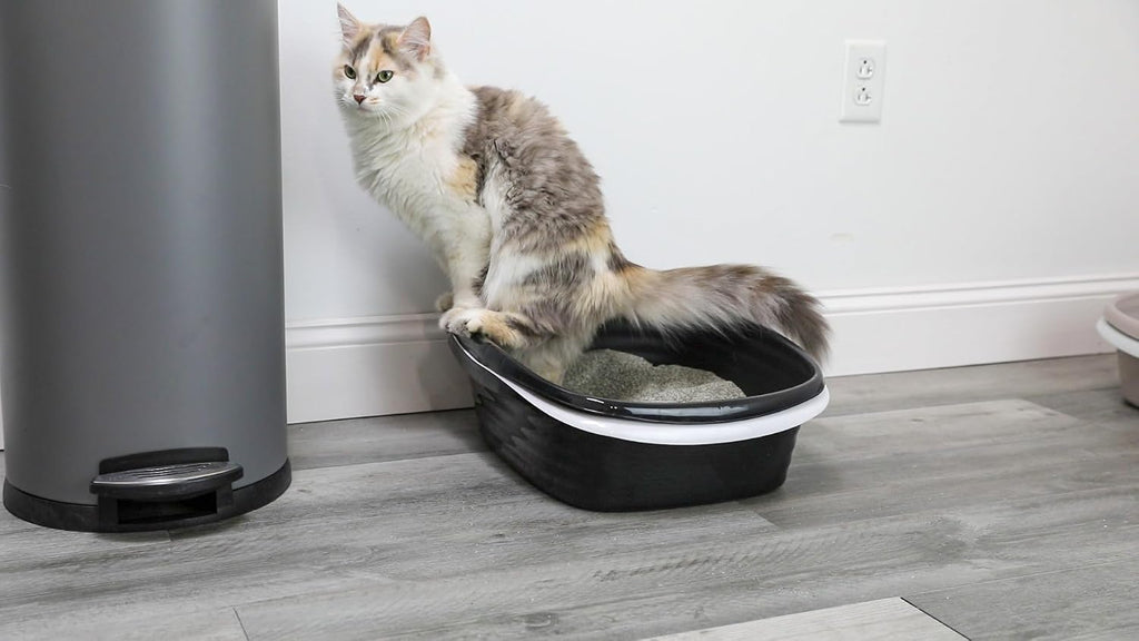 Arm & Hammer Large Sifting Litter Box Scoop Free Cat Litter Tray with Microban, Made in USA