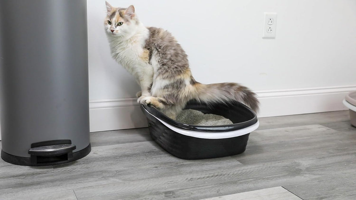 Arm & Hammer Large Sifting Litter Box Scoop Free Cat Litter Tray with Microban, Made in USA