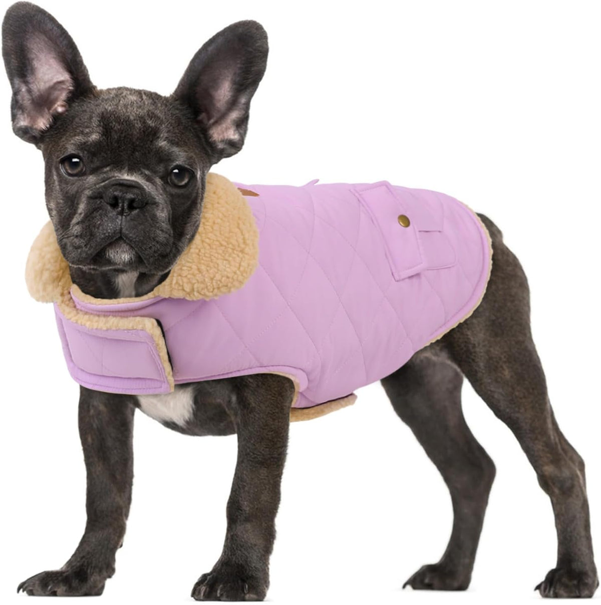 Dog Winter Coats for Small Dogs Puppies, Pet Thick Warm Jacket for Bichon