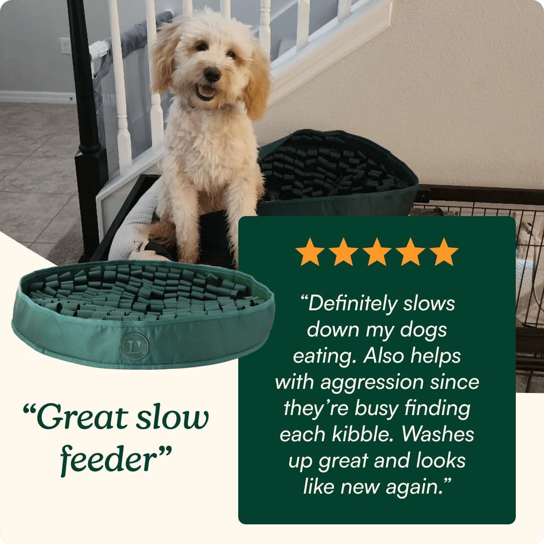 Reggie Snuffle Mat for Dogs, for Calming Support, Reducing Speed Eating, and Mental Stimulation, Durable & Easy to Clean