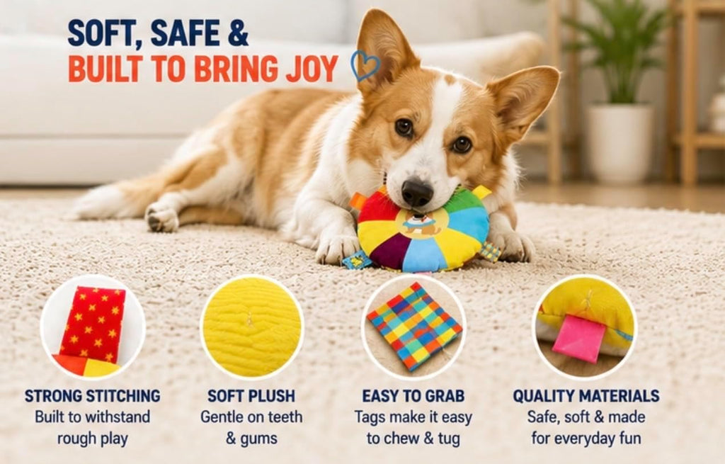 Rattle Flying Disc Dog Toy, Interactive Frisbee for Fetch, Rainbow Plush