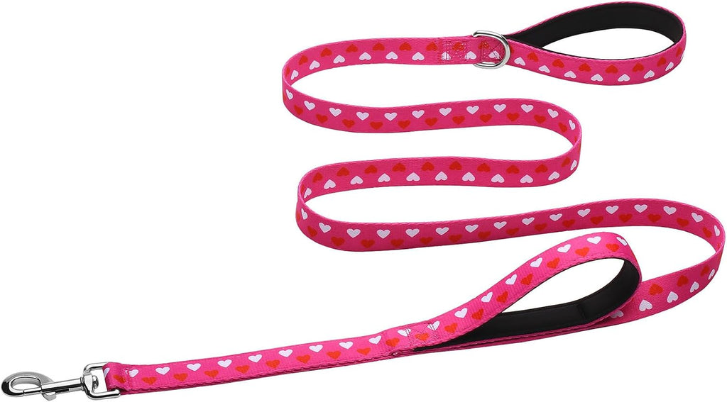 Hikiko 6FT Dog Leash Padded Double Handle with Designed Pattern