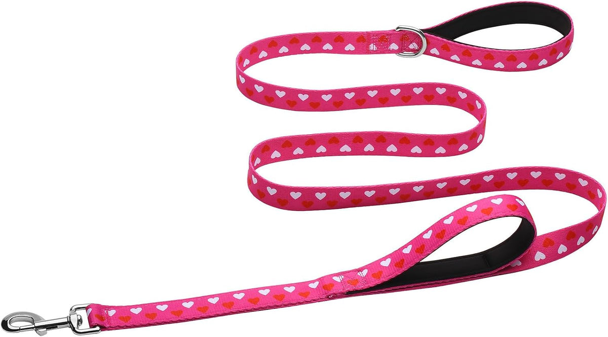 Hikiko 6FT Dog Leash Padded Double Handle with Designed Pattern