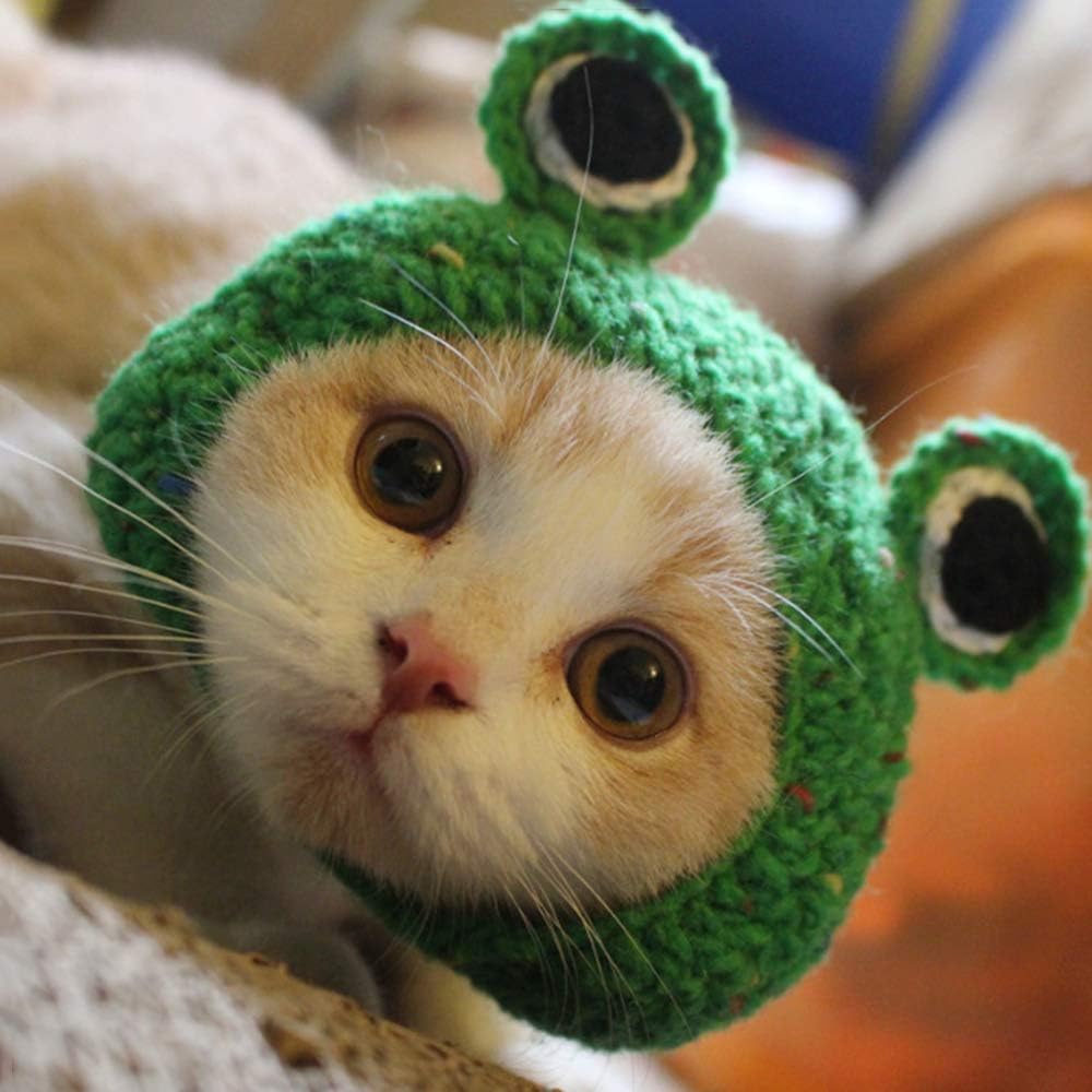 Adorable Funny Cartoon Frog Woven Pet Puppy Cat Hat Headwear