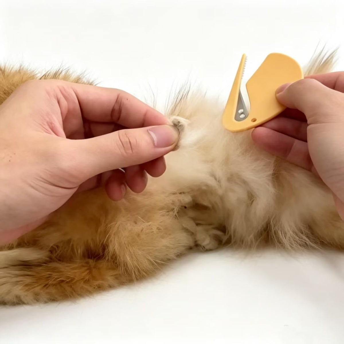 5Pack Pet Mat Splitter for Long-Haired Cats & Dogs, 77×46mm