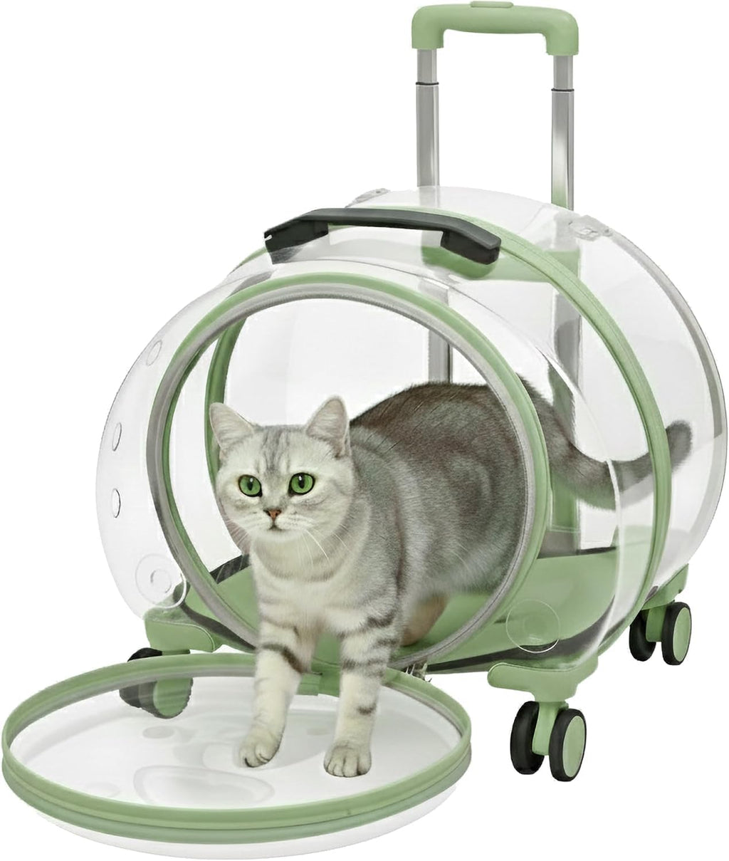 Rolling Cat Carrier Transparent Hard Shell Pet Travel Bag with Wheel(Greem)