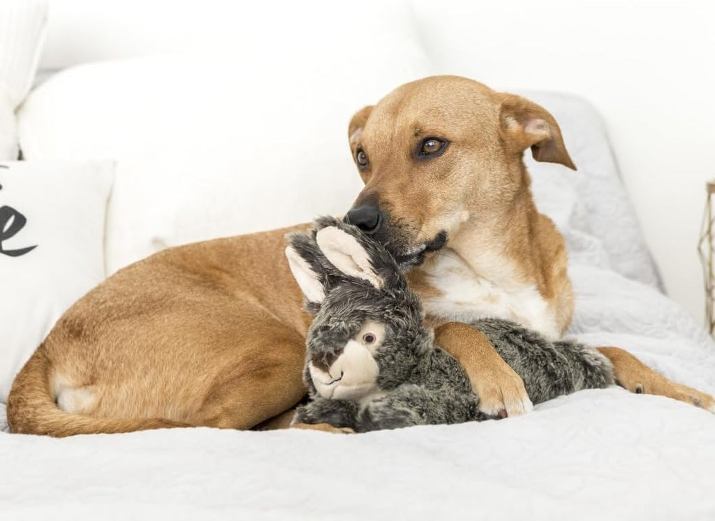 Fluff & Tuff Walter Wabbit Plush Dog Toy - 12"