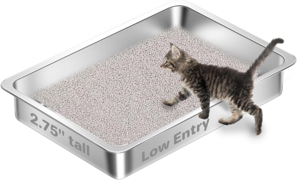 Low Entry Stainless Steel Cat Litter Box for Kittens Small cat, Metal Shallow Kitty Litter Box, Easy Access Kitty Litter