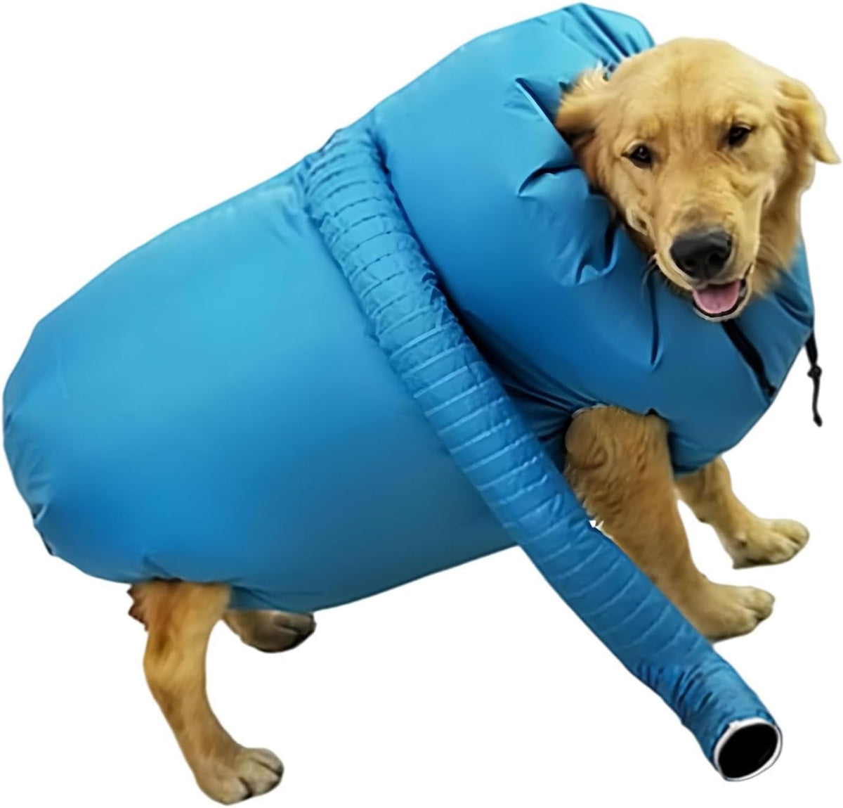 Dog Quick Drying Bag | Pet Air Circulation Blower Sack