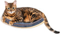 Cat Wall Shelves for Cat Wall Steps, Perch, Ladder, Wooden Floating Modern Mounted Space Saving Furniture with Scratchin