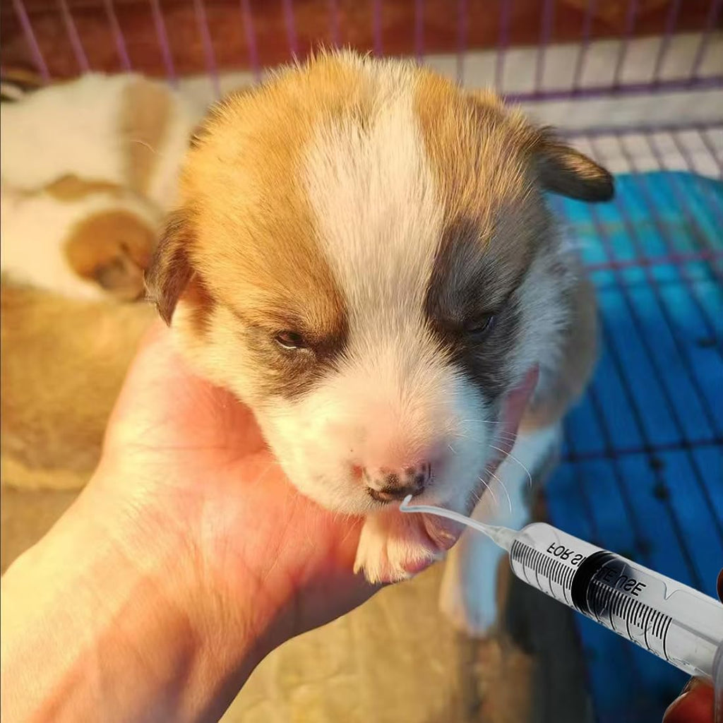 11pcs Puppy Kitten Feeding Tube Kit for Small Animals and Clear Feeding Syringe 5/10/20/30/60ml, Clear Feeding Tube, Syr