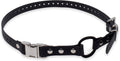 E-Collar Educator 3/4" Quick Snap Bungee Collar Strap, Black