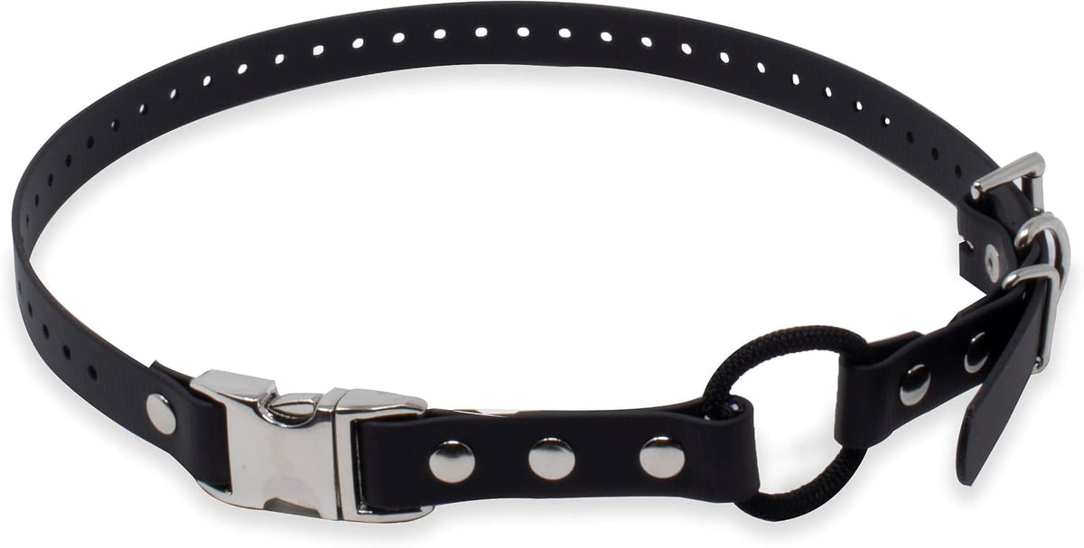 E-Collar Educator 3/4" Quick Snap Bungee Collar Strap, Black