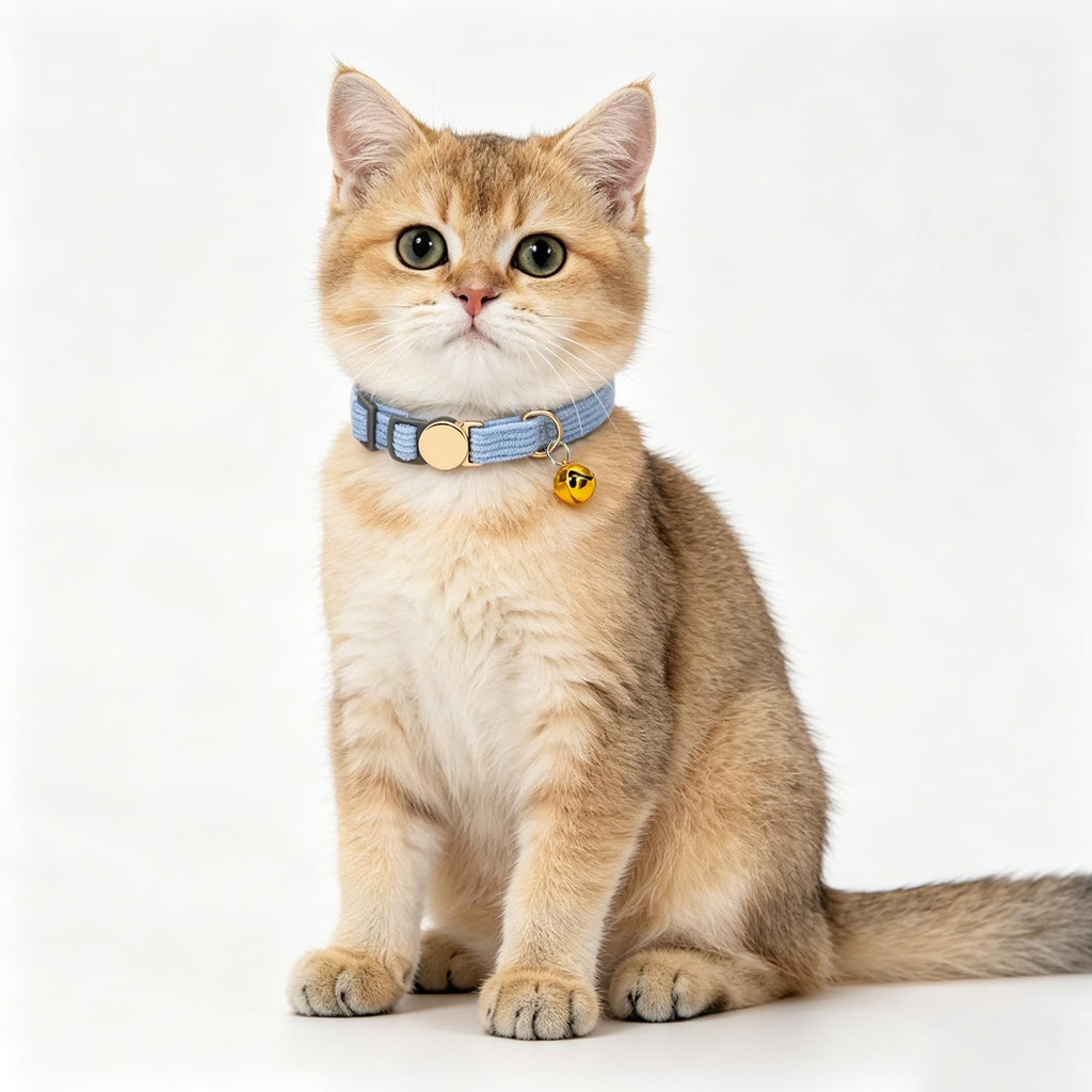 WDPAWS Soft Corduroy Cat Collar for Small to Large Cats, Adjustable 7-11 Inch, Gold Buckle & Bell (Light Blue)