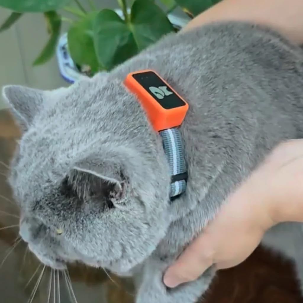 Pawsitional GPS Tracker (1)