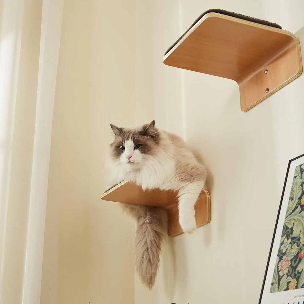 2 Set Cat Wall Steps - Wooden Cat Climbing Shelf for Wall - Cats Wall Stairs with Scratching Mat - Wall Mounted Cats Fur