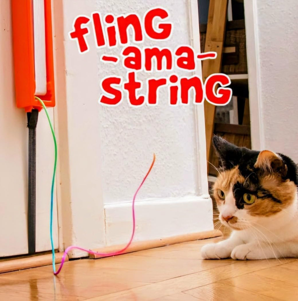 Moody Pet Interactive Cat Toy for Indoor Cats – Fling-AMA-String Automatic, Moving, Flying String Toy for Cats – Battery