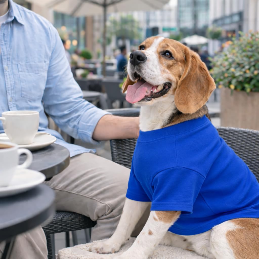Lovelonglong Pet Clothing Dog Costumes Basic Blank T-Shirt Tee Shirts for Large Dogs Blue XXXXL