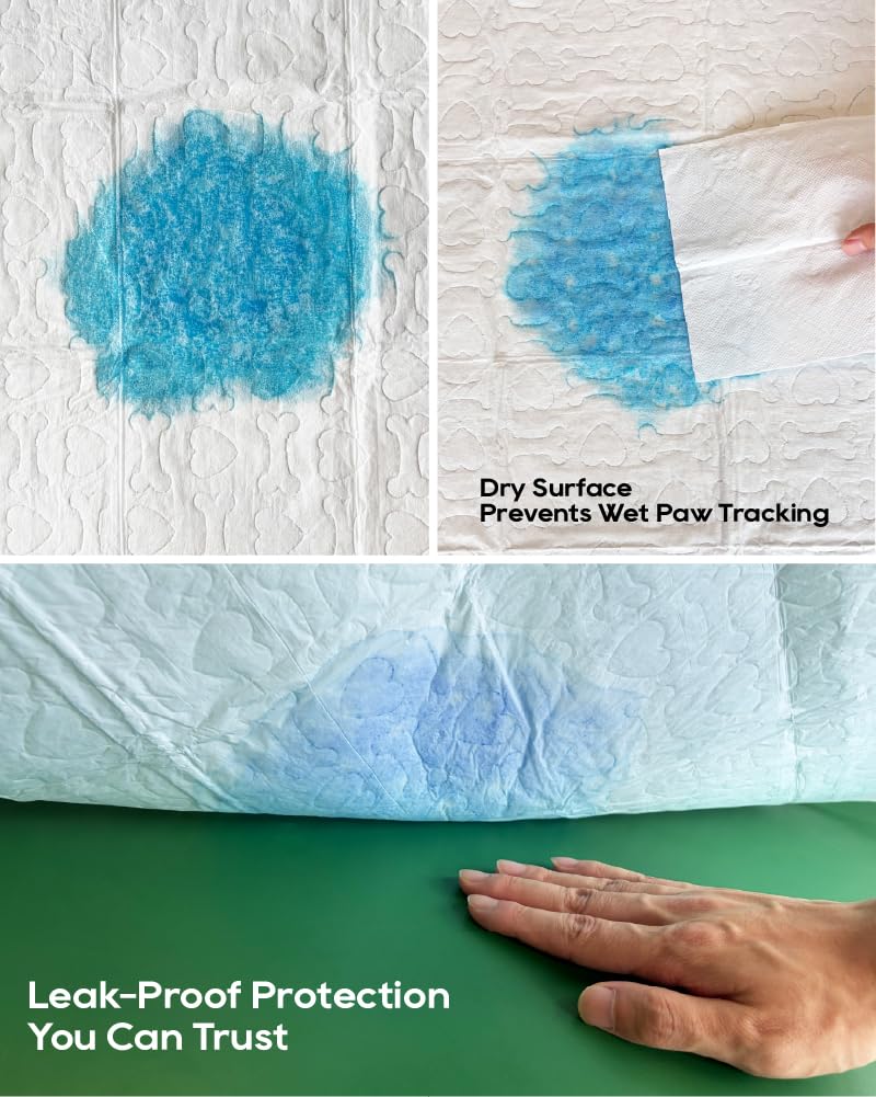 Honey Care All-Absorb, Small 17.5" x 23.5", 120 Count, Dog and Puppy Training Pads, Ultra Absorbent and Odor Eliminating, Leak-Proof 5-Layer Potty Training Pads with Quick-Dry Surface, Blue, A05
