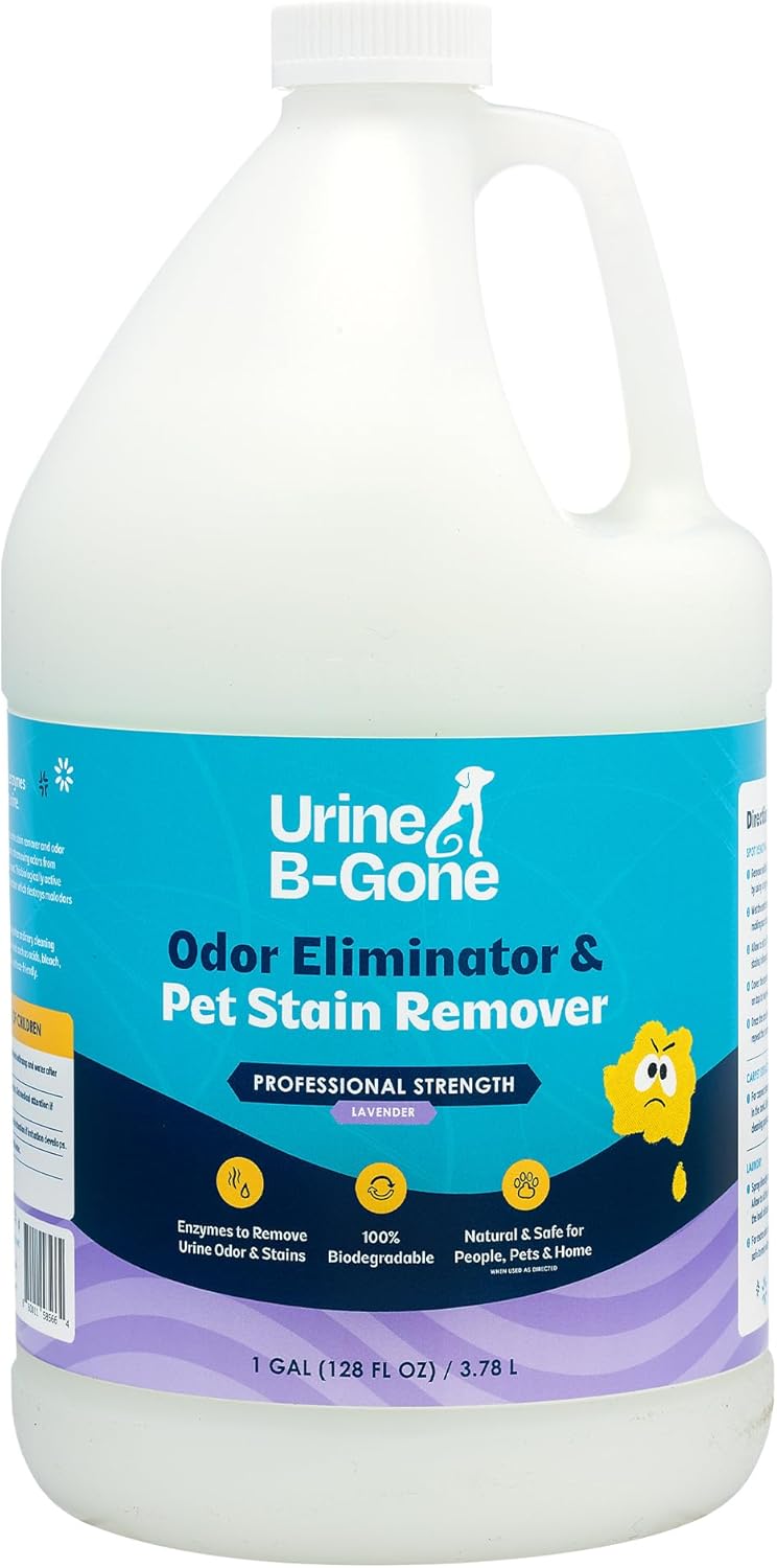Urine B-Gone, Professional Enzyme Odor Eliminator & Pet Stain Remover, Human, Cat & Dog Urine Cleaner, Effective on Laun
