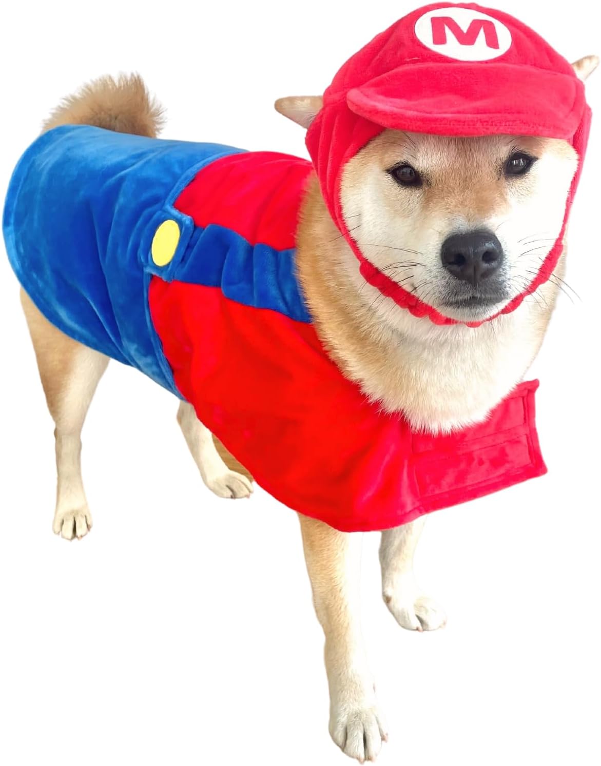 ComfyCamper Hat and Suspenders Dog Costume - X Large Medium Small Lab Star Space Cosplay Halloween Costumes, Large, Oran