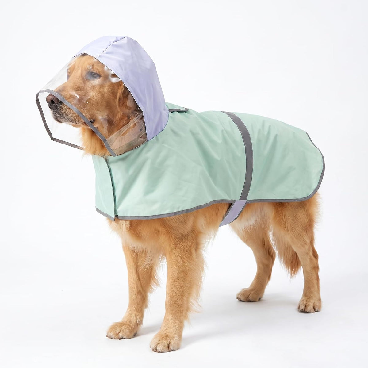 Clear Hood Dog Raincoat 2-in-1 Sun Protection for Medium Large Dogs，Medium