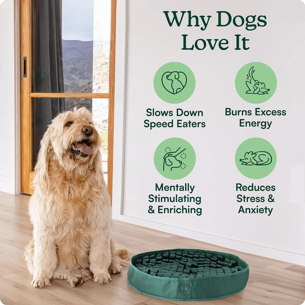 Reggie Snuffle Mat for Dogs, for Calming Support, Reducing Speed Eating, and Mental Stimulation, Durable & Easy to Clean