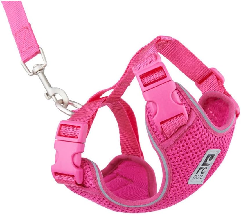 RC Pets Adventure Kitty Harness, 6ft Leash, Small, Multi Stripes