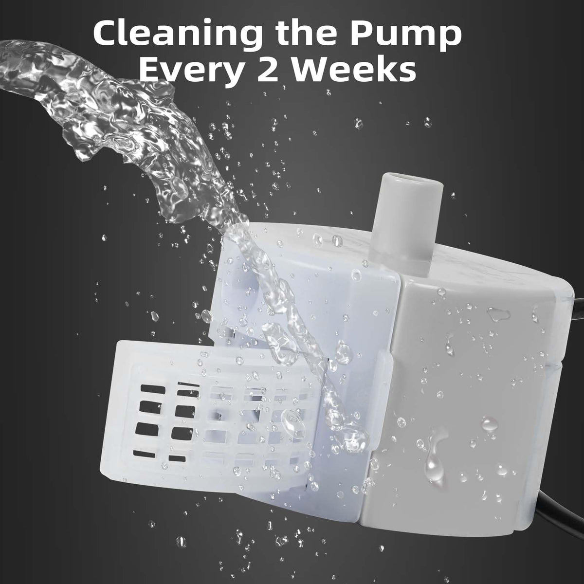 Ultra-Quiet Replacement Pump for Stainless Steel Cat Water Fountains - SMA-800 Motor - Safe and Easy to Clean with Low Voltage DC 5V and USB Cable (Pump) (Side Pump)