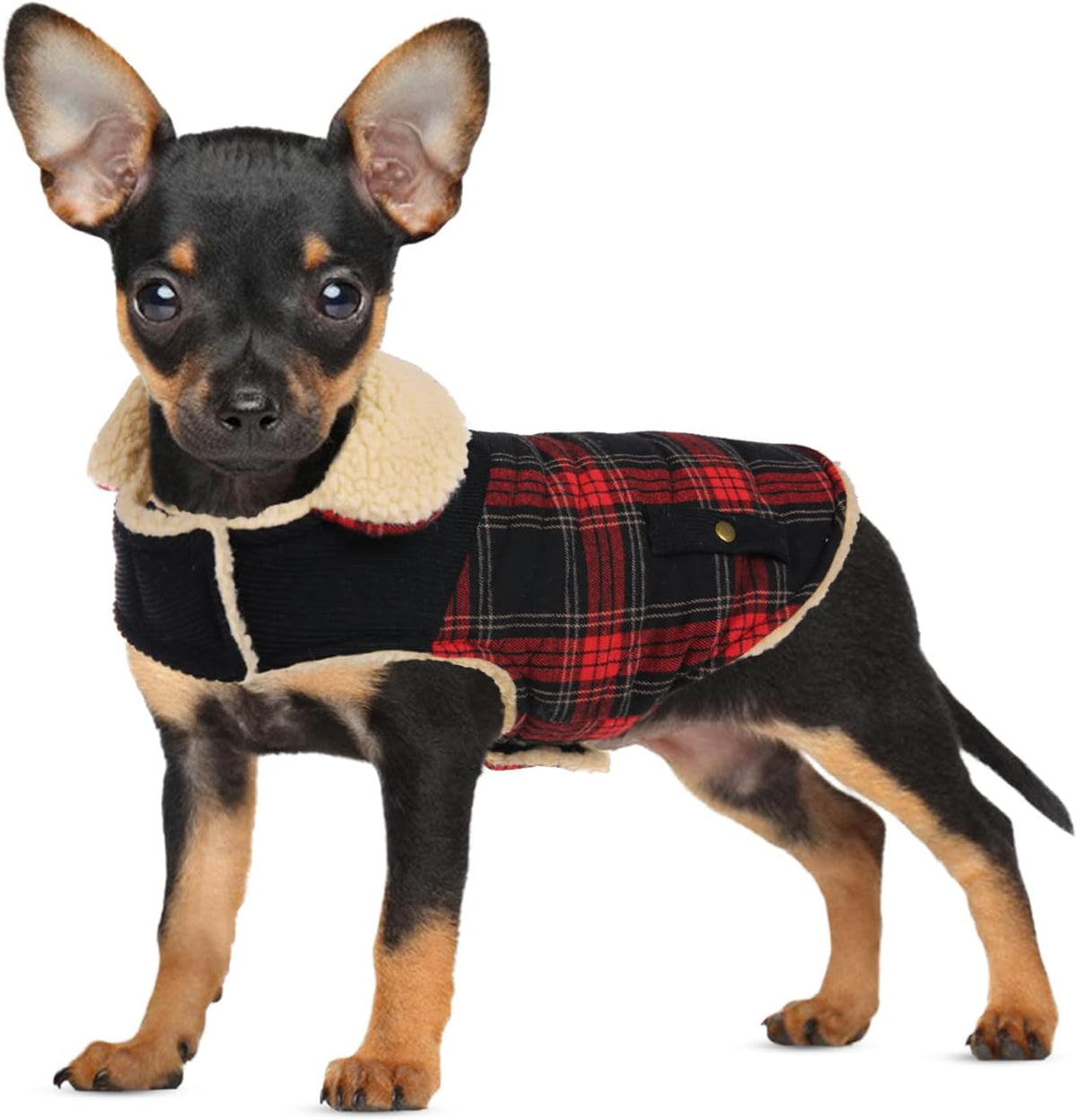 Dog Winter Coats for Small Dogs Puppies, Pet Thick Warm Jacket for Bichon