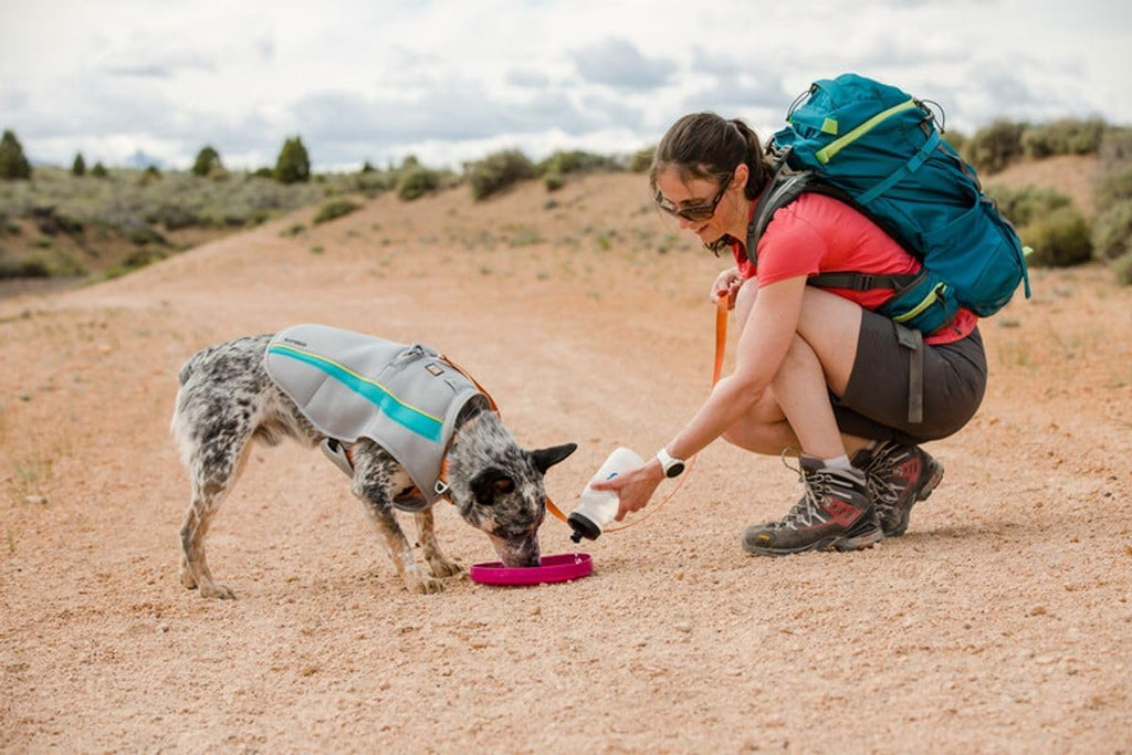 Ruffwear, Camp Flyer Dog Toy, Flying Disc, Red Sumac