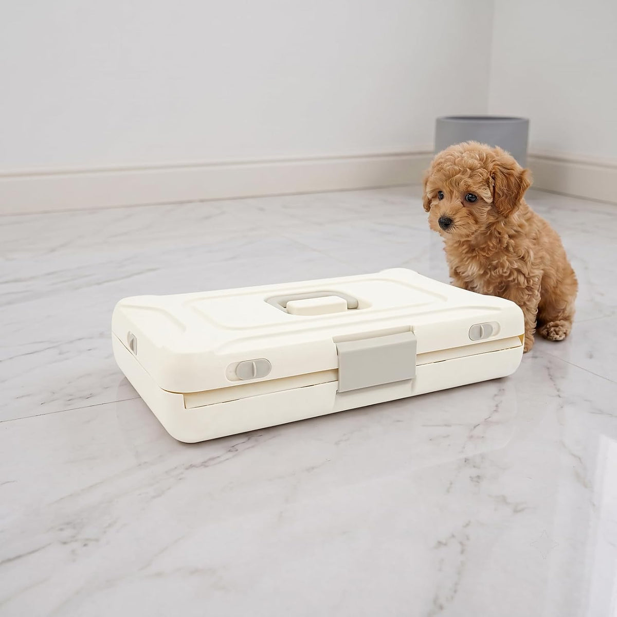 Foldable Hard Shell Pet Carrier, Collapsible Hard Sided Cat Carrier