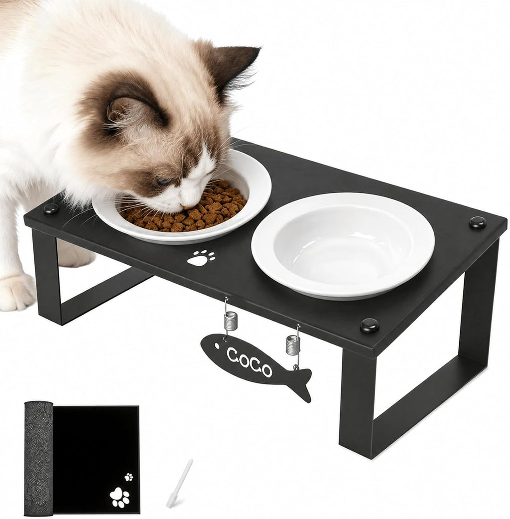 Elevated Cat Bowls with Splash Proof Mat for Kitten Puppy, 10° Tilted Raised Cat Bowl Stand Anti-Vomiting, 2 Wide Shallo