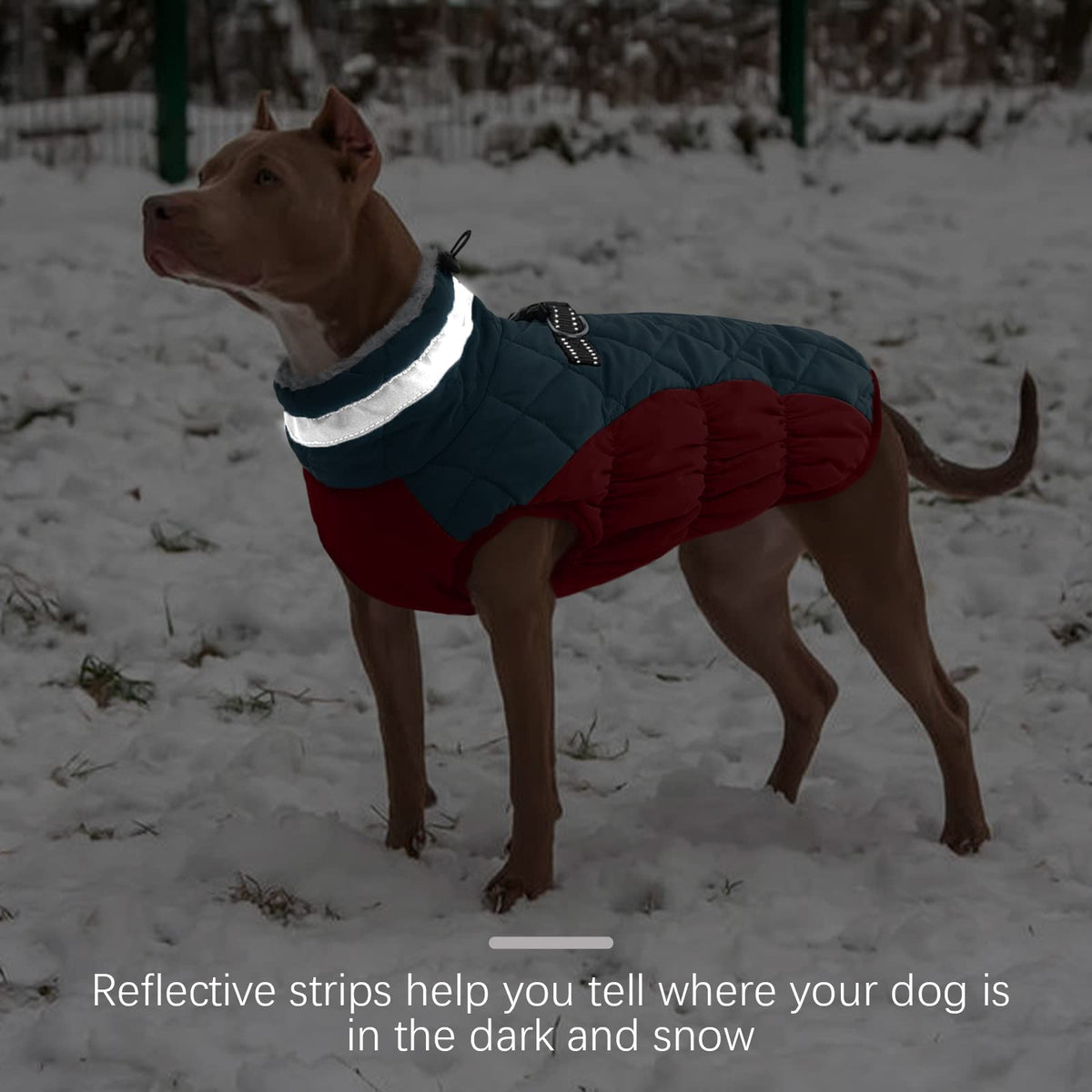 FUAMEY Dog Coat for Medium Dogs, Fleece Dog Winter Jacket with Harness