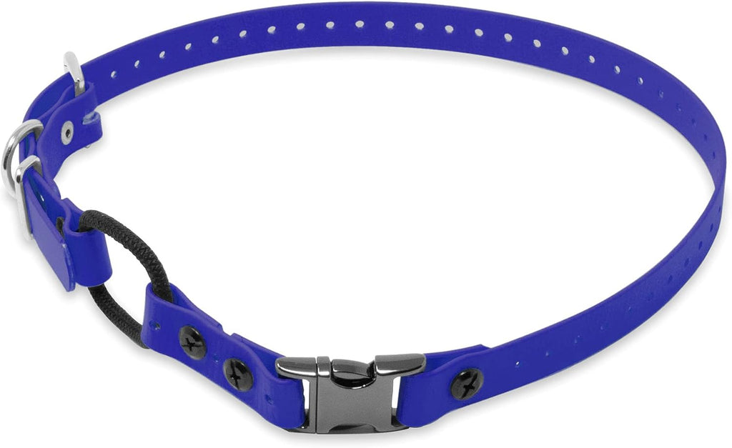 E-Collar Educator 3/4" Quick Snap Bungee Collar Strap, Black