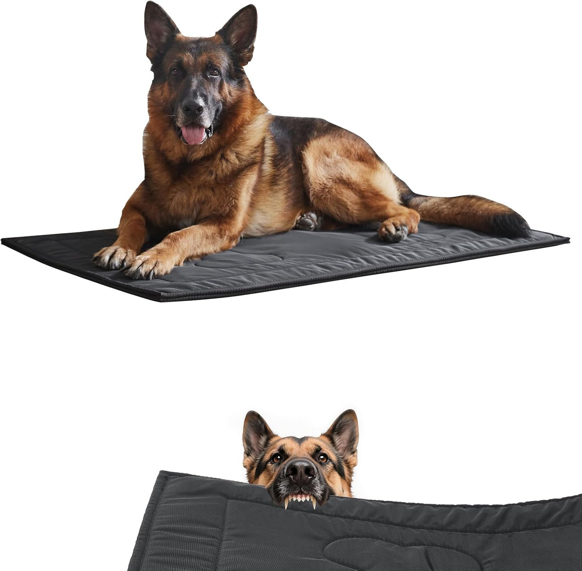 Chew Proof Indestructible Dog Crate Pad,Large (28"x41"),Green