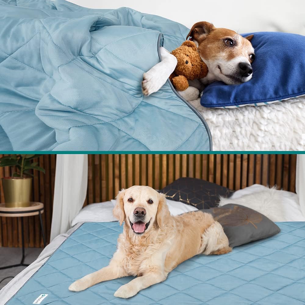 PetAmi Cooling Dog Blanket Lightweight Soft for Large Pet Cat, 40x60, Blue