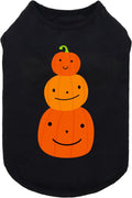 Fitwarm Thanksgiving Triple Pumpkins Dog Shirt, Fall Dog Clothes for Small Dogs Boy Girl, Funny Doggy Tshirt, Pet Outfit