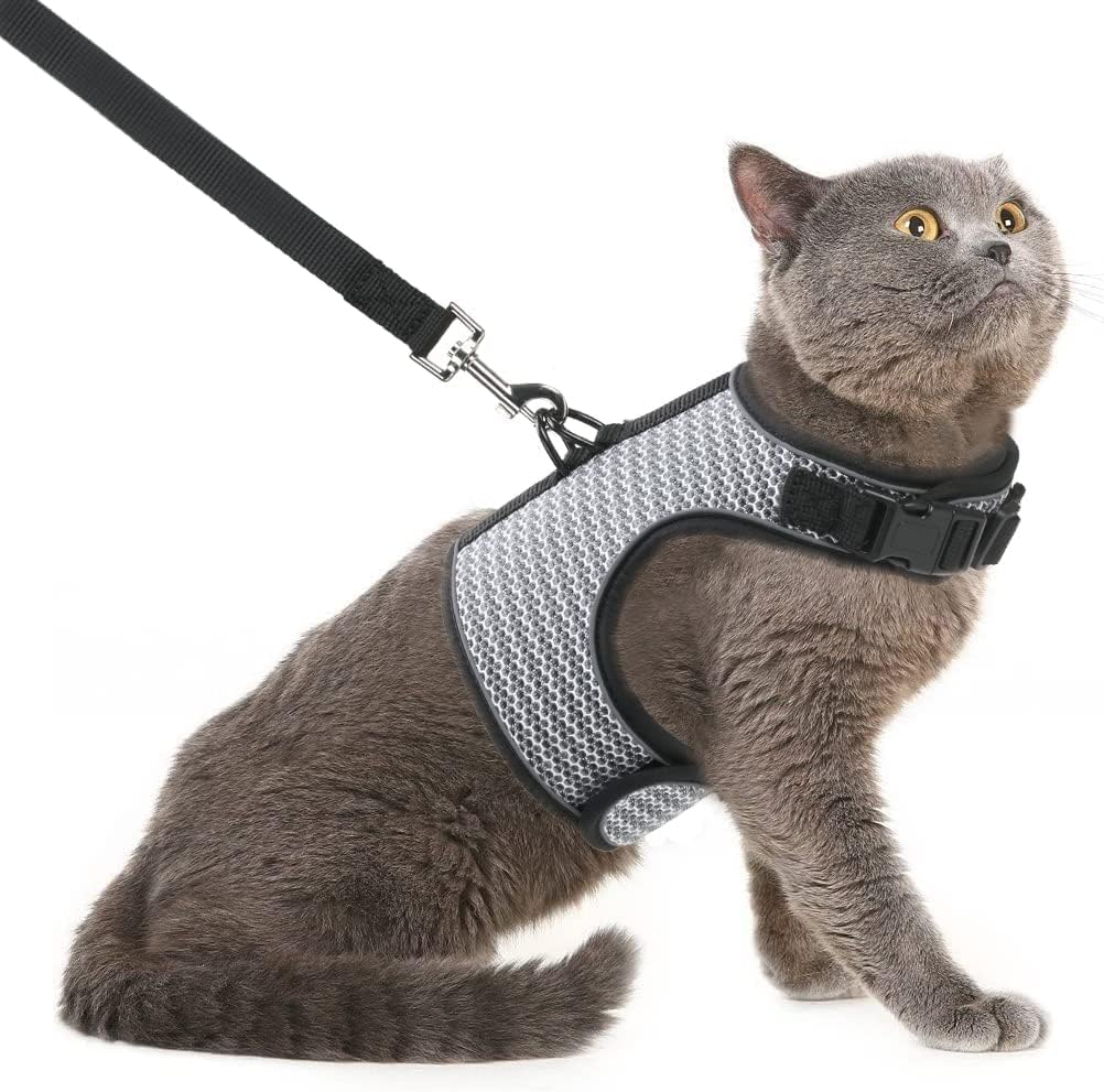PUPTECK Soft Mesh Cat Vest Harness and Leash Set Puppy Padded Pet Harnesses Escape Proof for Cats Small Dogs Rabbits Bun