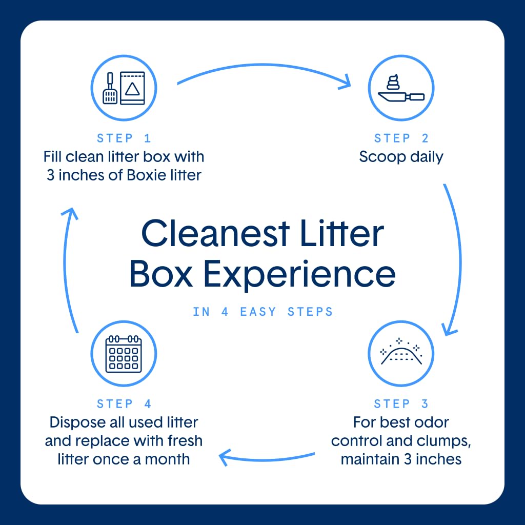Boxie Premium Unscented Clumping Cat Litter 30+ Day Odor Control 16 lb