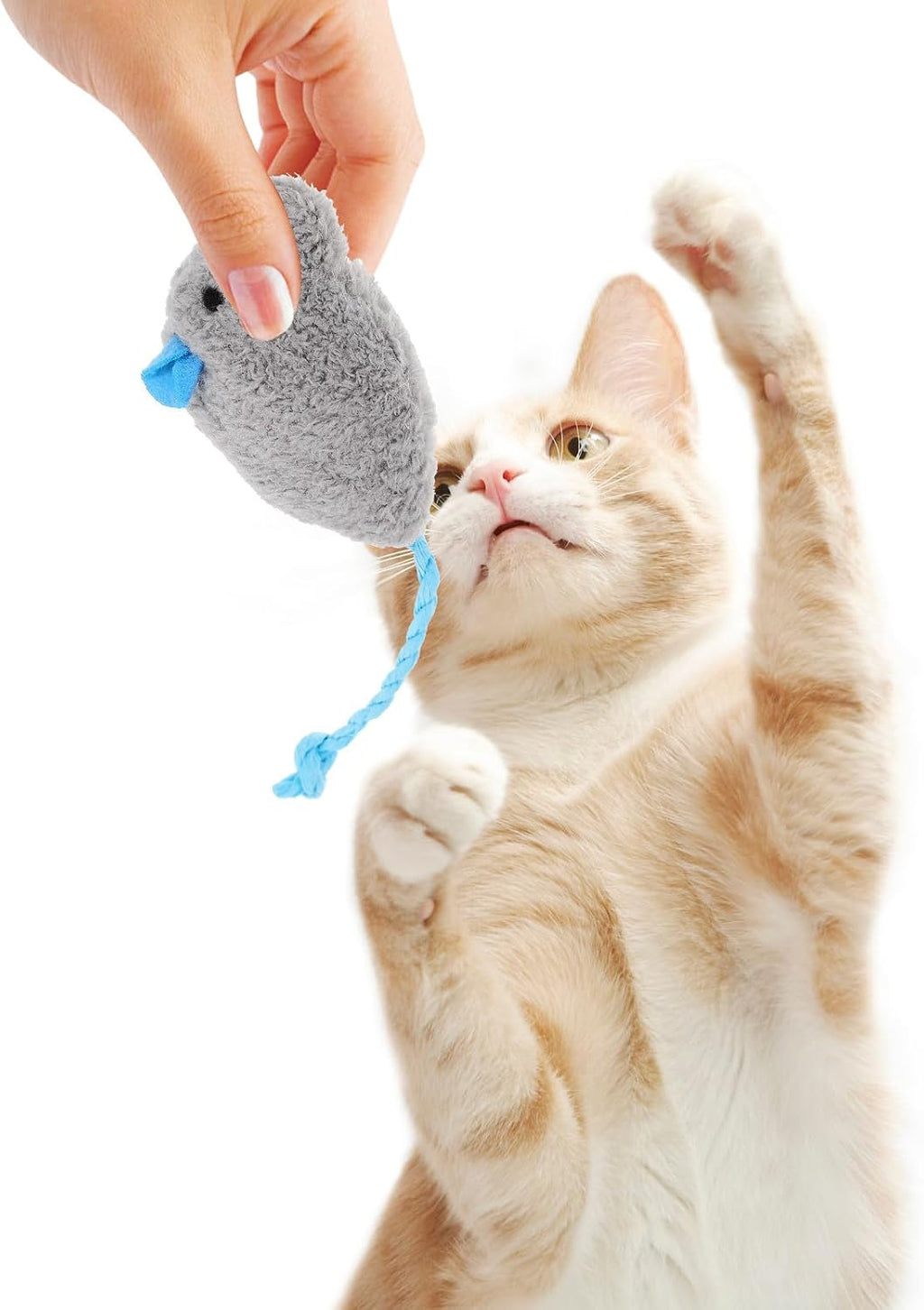 ARTIBETTER 5pcs Plush Mouse Cat for Kittens Indoor Interactive Play