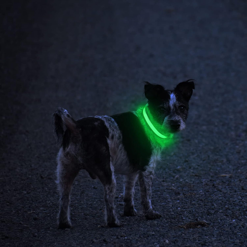LED Dog Collar - Light Up Dog Collars Rechargeable - Waterproof Night Walking Glowing Dog Collar for Small, Medium, Larg