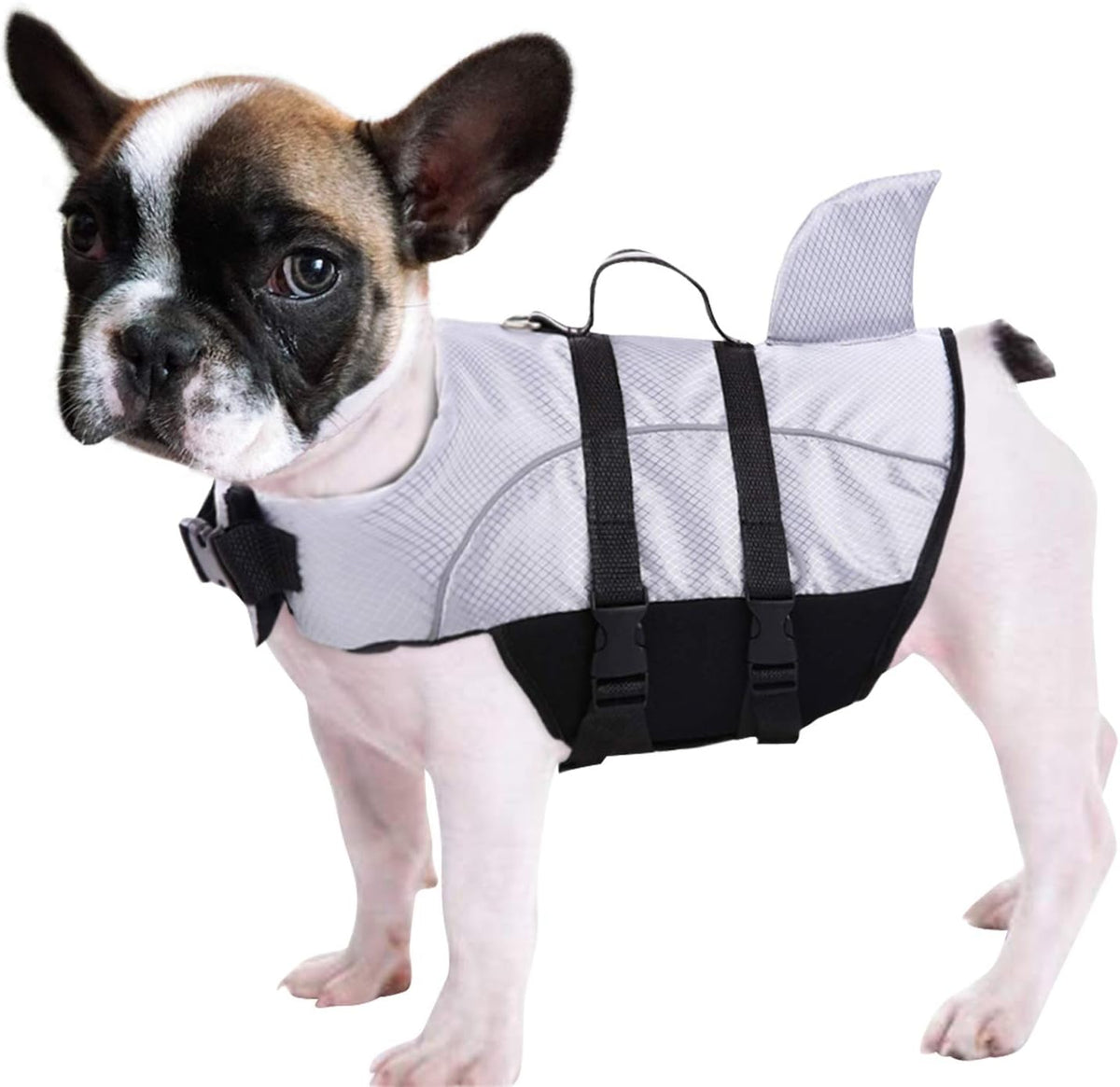 Ripstop Dog Life Jacket Shark Life Vest for Dogs, Safety Lifesaver with High Buoyancy and Lift Handle for Small and Medi
