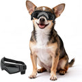 Dog Goggles Small Breed, XS Dog Sunglasses Chihuahua Glasses Anti-UV Eyes Protection for XSmall Pets Tiny Dogs Cats, Bla