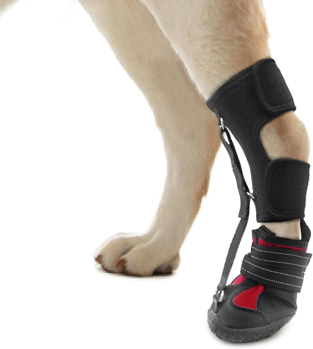 Strap on Drop Foot Brace for Dogs, Corrective Dog Shoes (L)