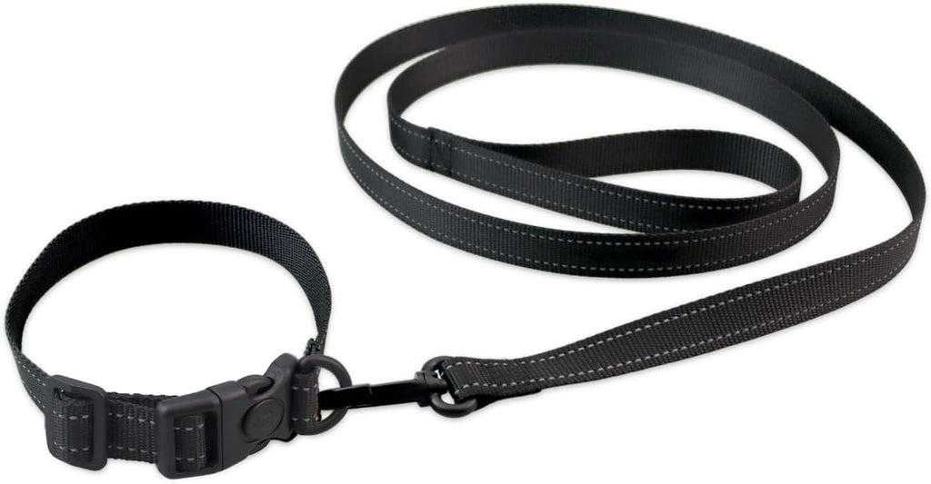 Airport Security Friendly Metal Free Dog Collar and Leash Set for Small Medium Dogs, Reflective Adjustable Collar